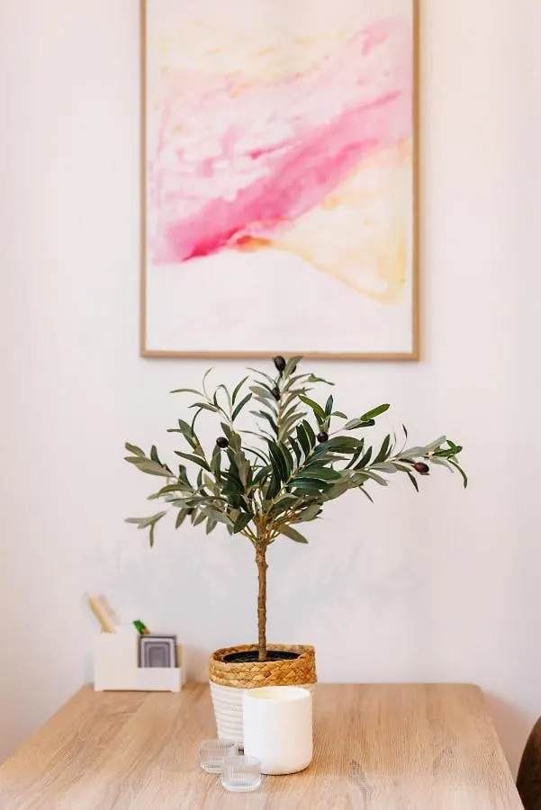 公寓 Boho Central Suites 塞萨洛尼基